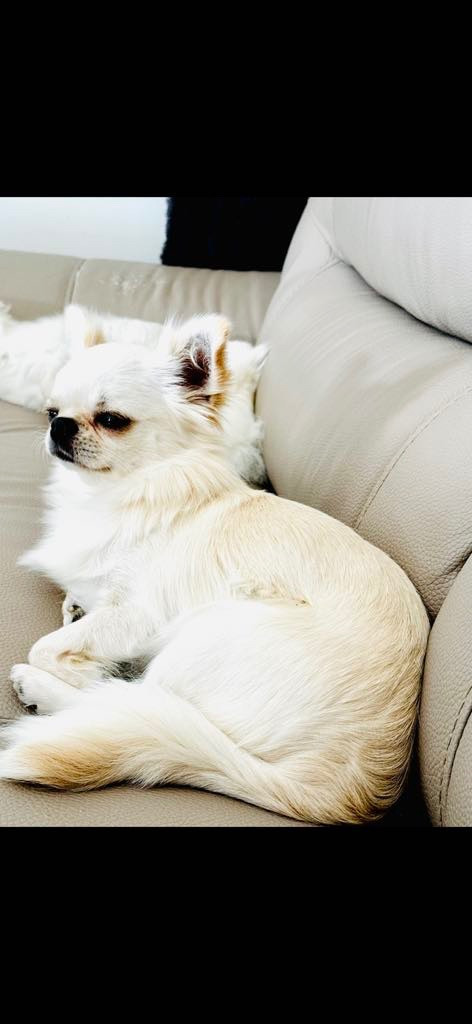 Publication : Des Trésors De Cancun