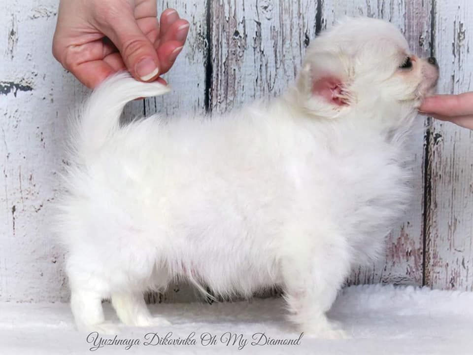 Publication : Des Trésors De Cancun