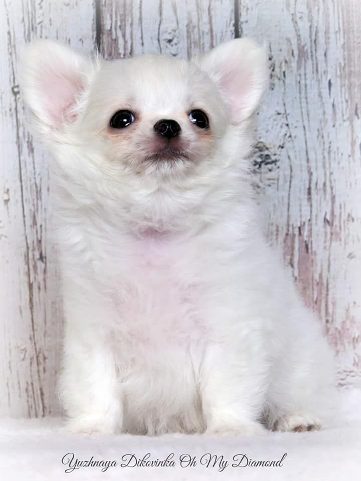 Publication : Des Trésors De Cancun