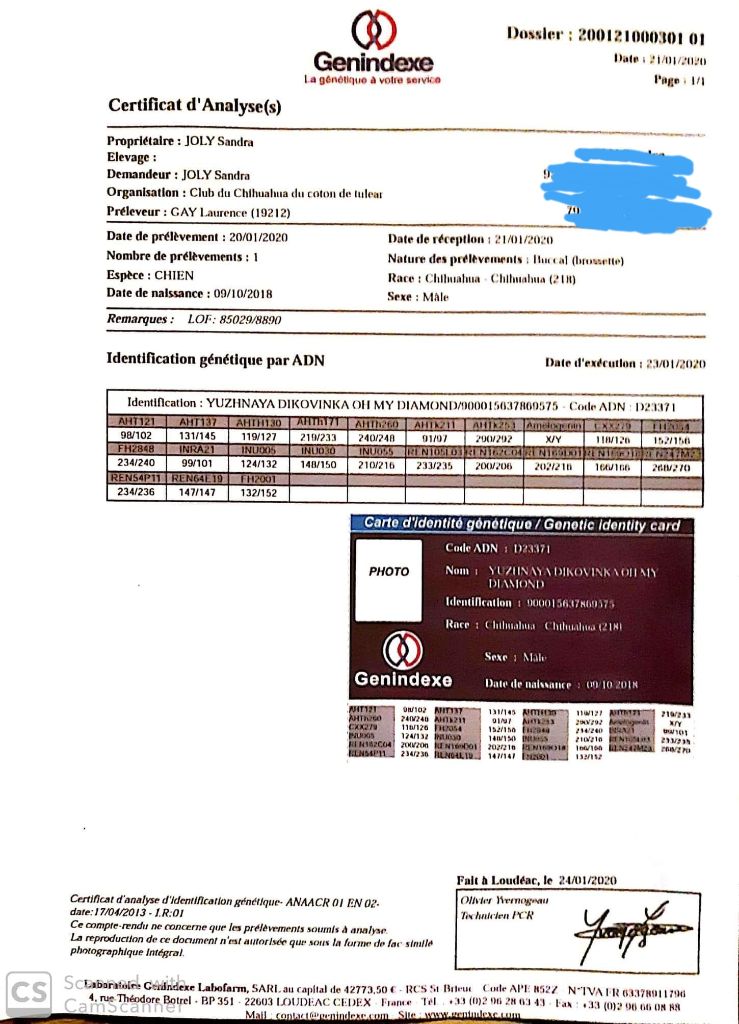 Publication : Des Trésors De Cancun