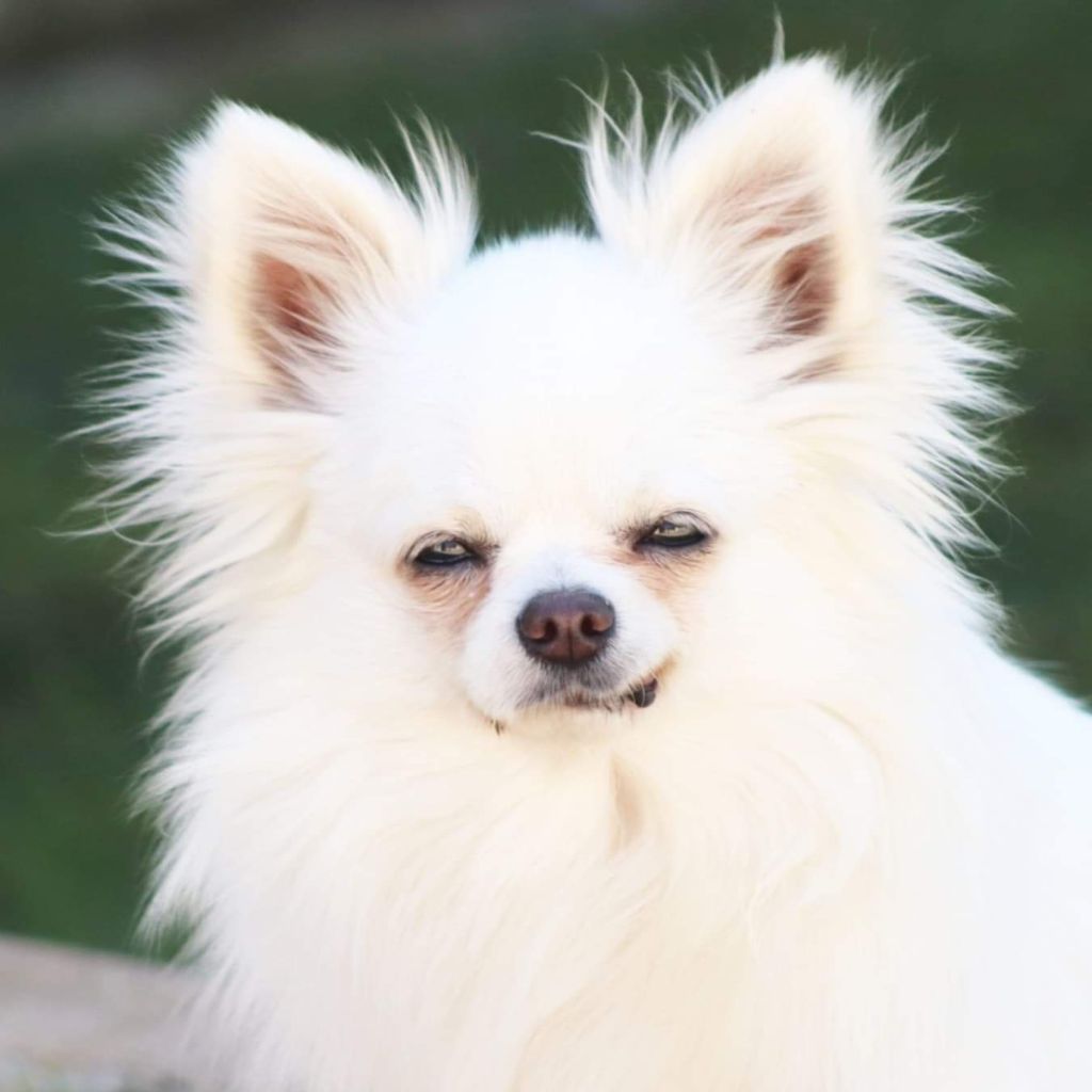 Publication : Des Trésors De Cancun