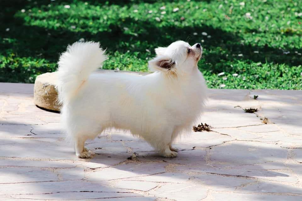 Publication : Des Trésors De Cancun