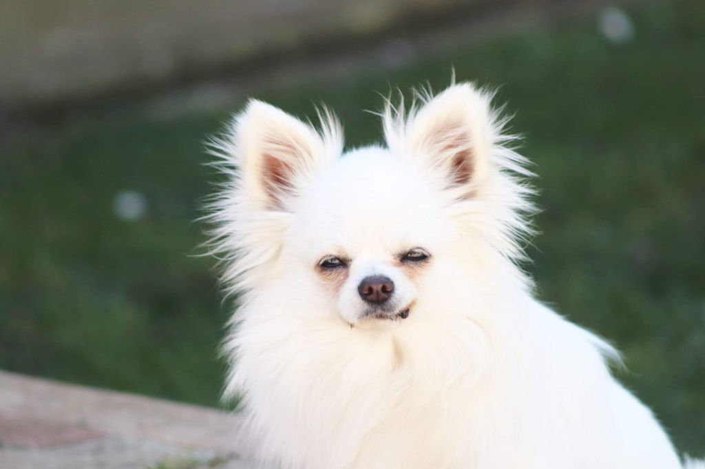 Publication : Des Trésors De Cancun