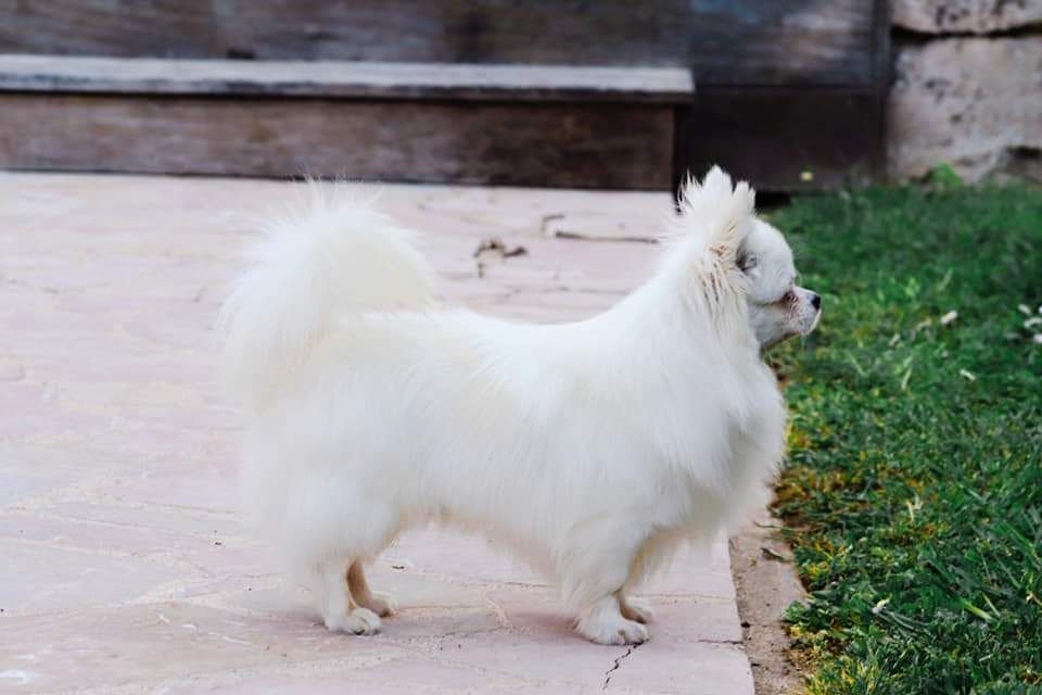 Publication : Des Trésors De Cancun