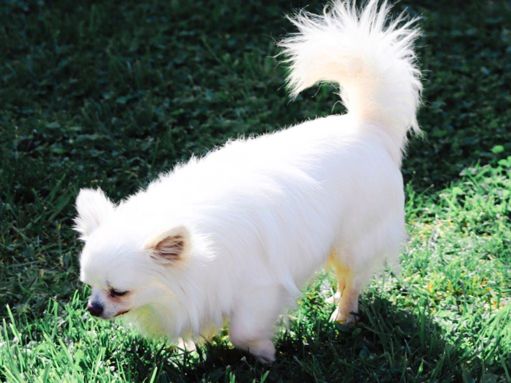 Publication : Des Trésors De Cancun