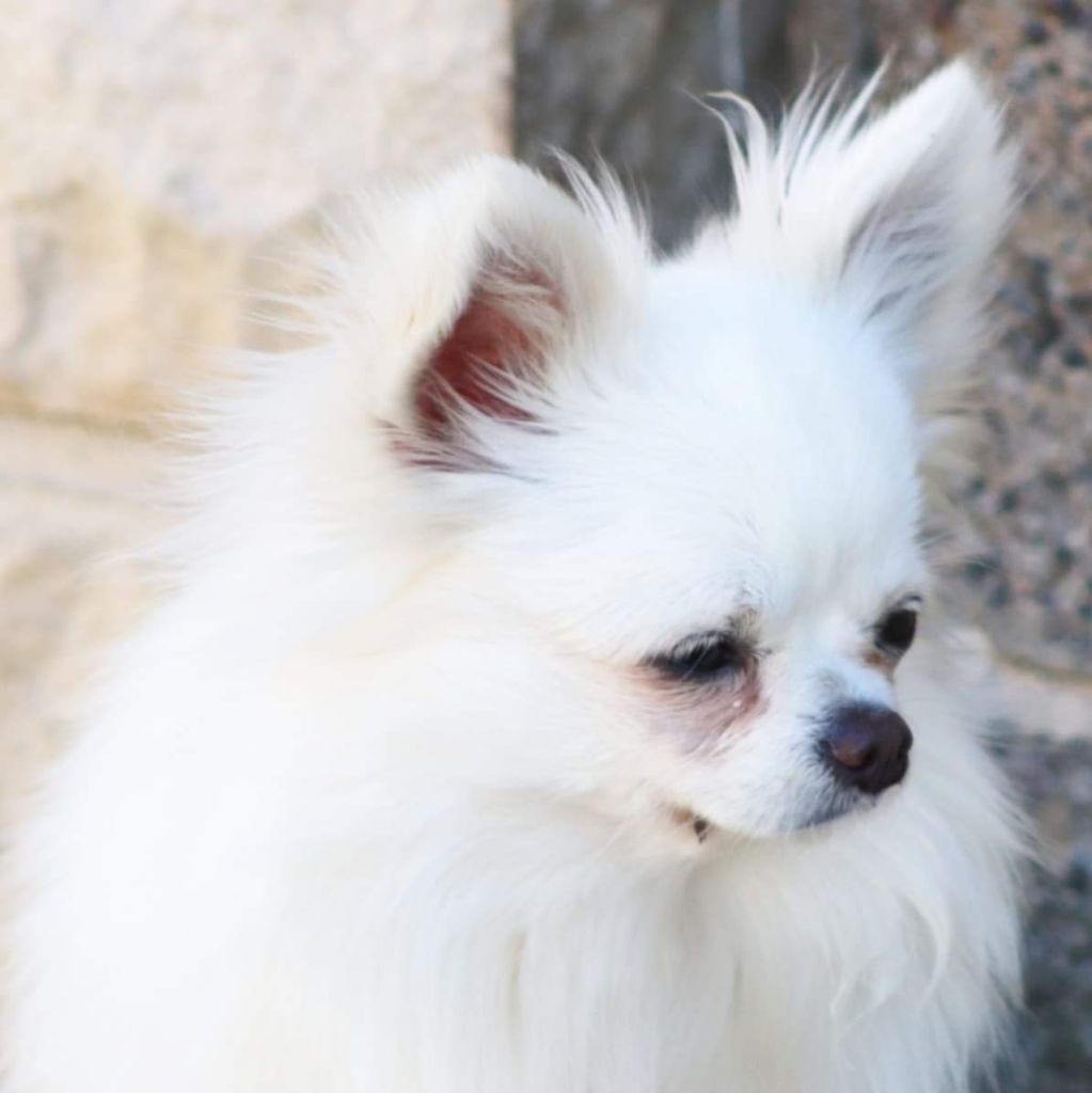 Publication : Des Trésors De Cancun