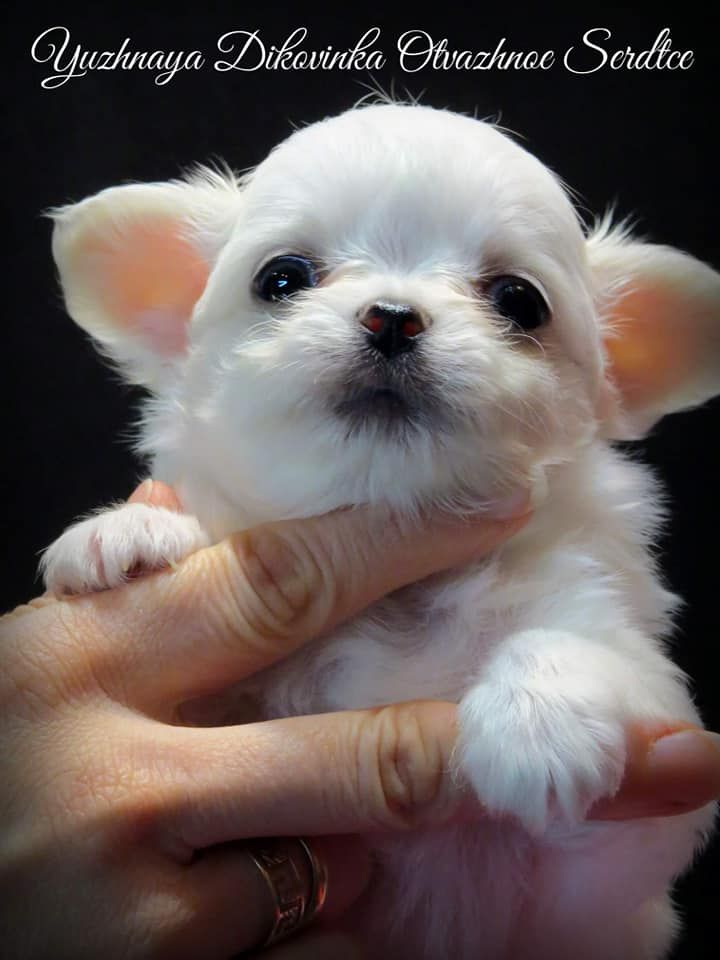 Publication : Des Trésors De Cancun