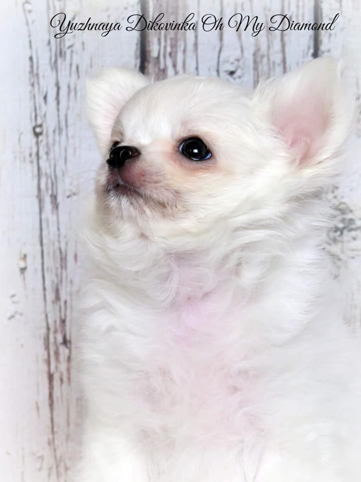 Publication : Des Trésors De Cancun