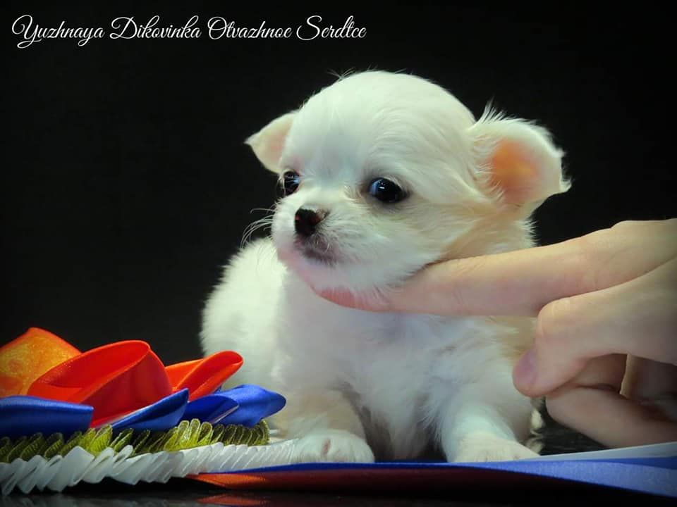 Publication : Des Trésors De Cancun