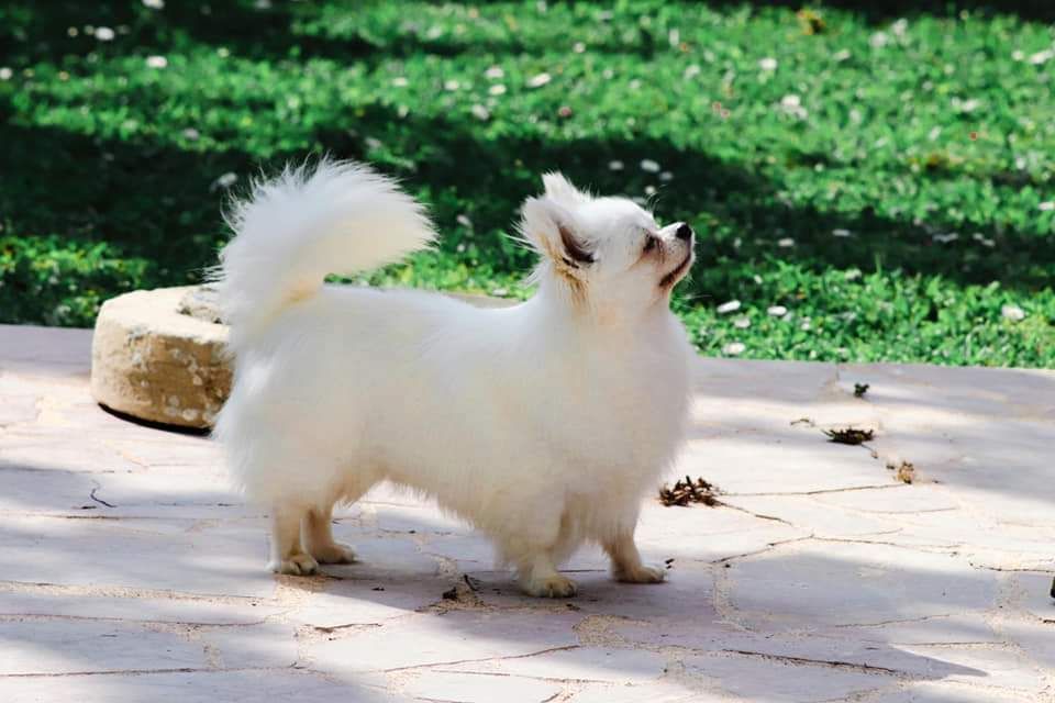 Publication : Des Trésors De Cancun