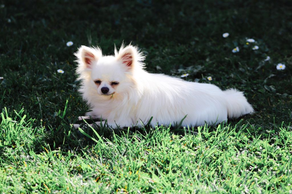 Publication : Des Trésors De Cancun