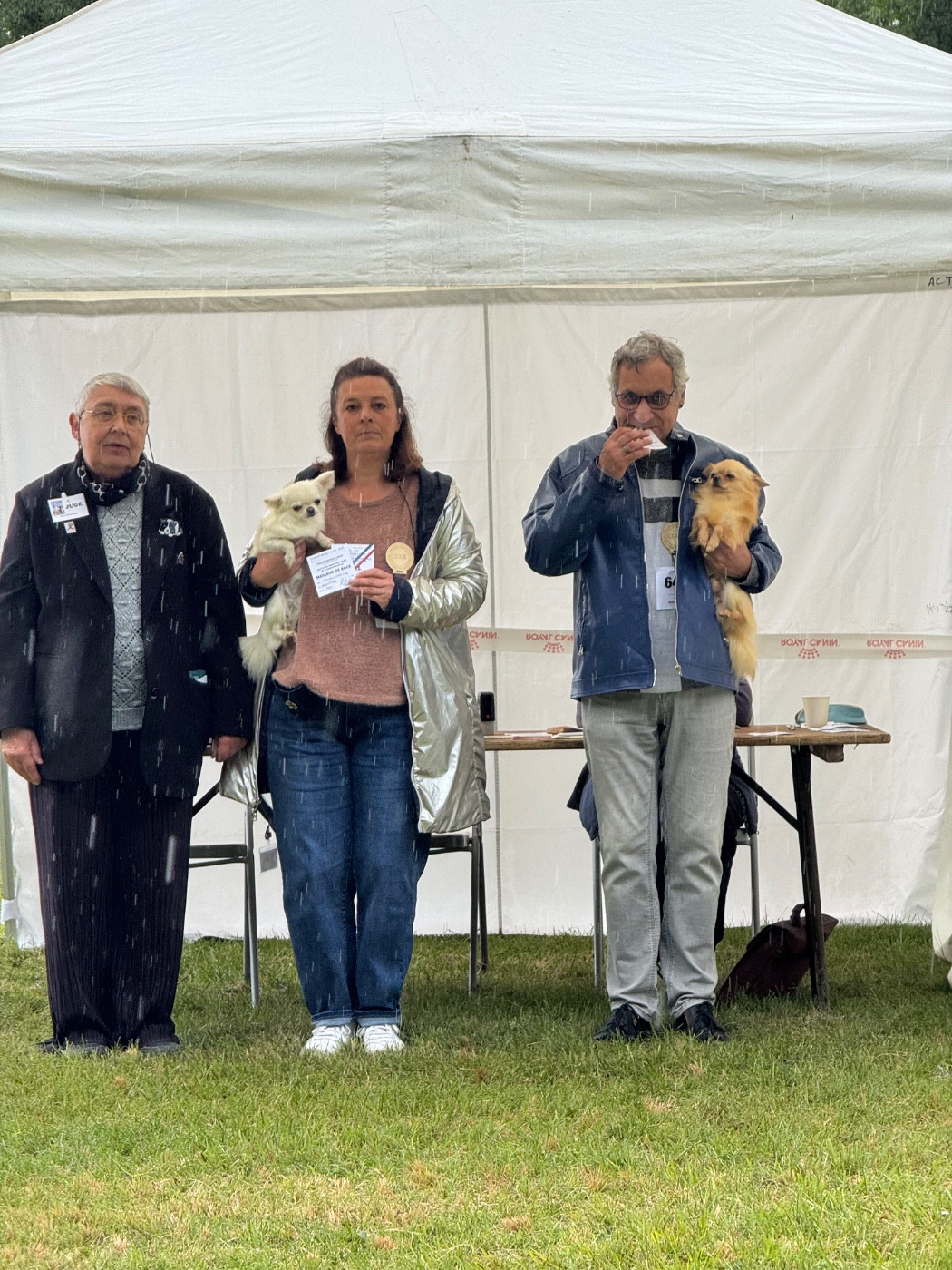 CH. elin land Tatushka - 1er EXC CAC et BOB (meilleur de race) en classe ouverte femelles