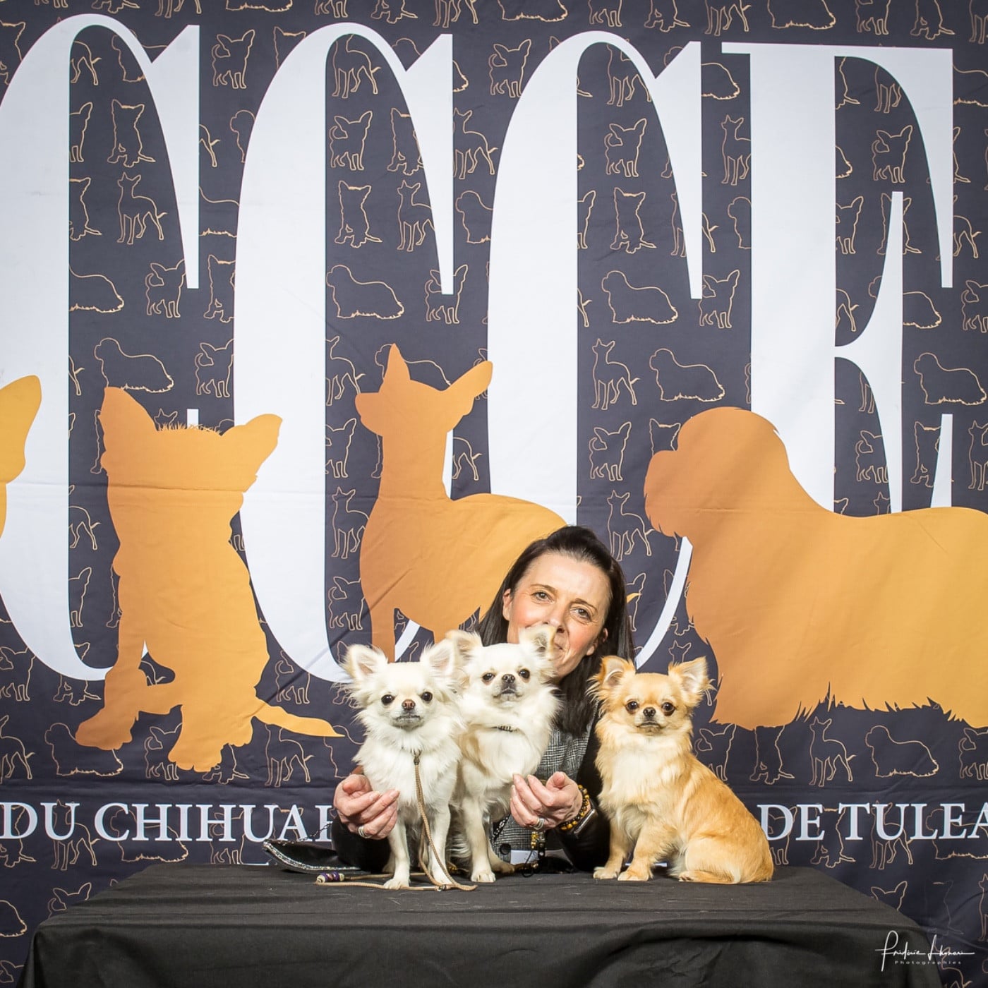 CH. maffitan's New adventures - TRES PROMETTEUR EN PUPPY MALES
