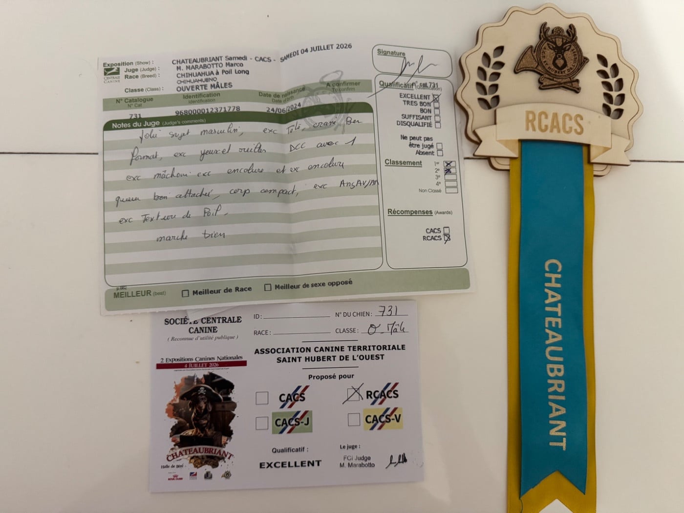 CH. maffitan's New adventures - 1 er EXC RCAC Classe ouverte mâles