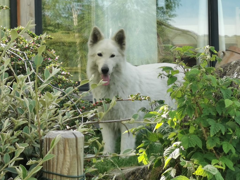 Publication : du Domaine De Cap Dé Lastouse Auteur : Domaine de cap dé Lastouse