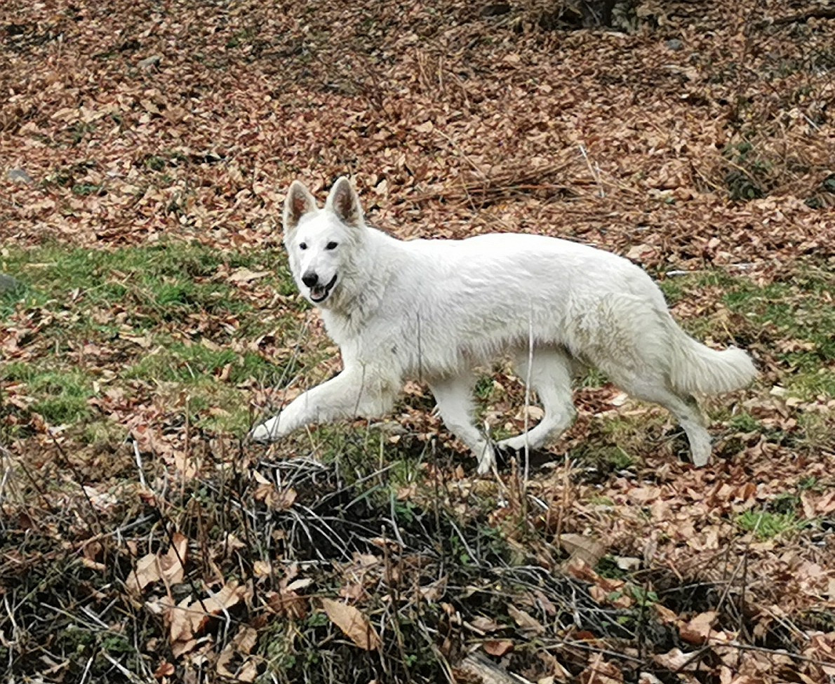 Publication : du Domaine De Cap Dé Lastouse
