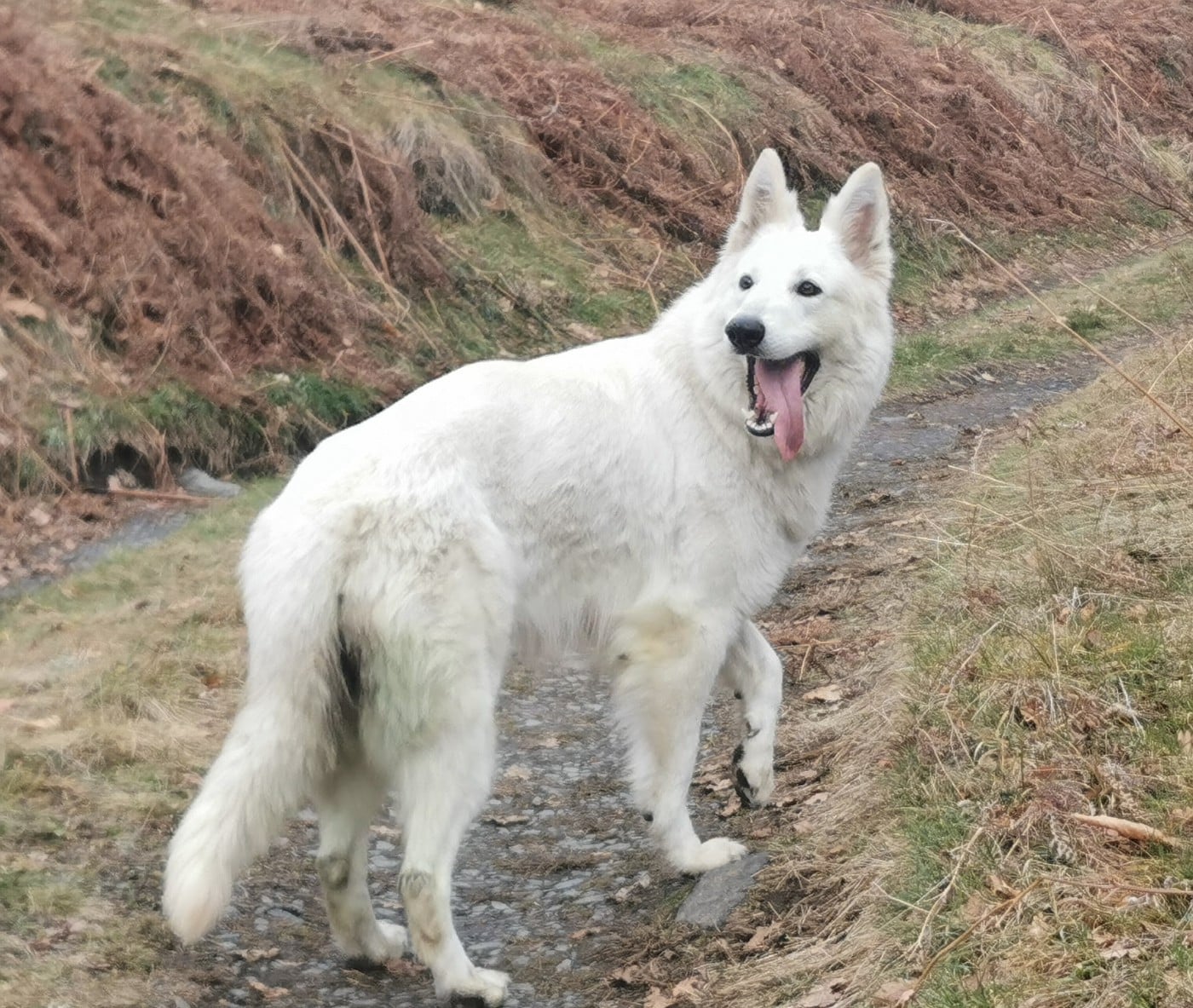 Publication : du Domaine De Cap Dé Lastouse