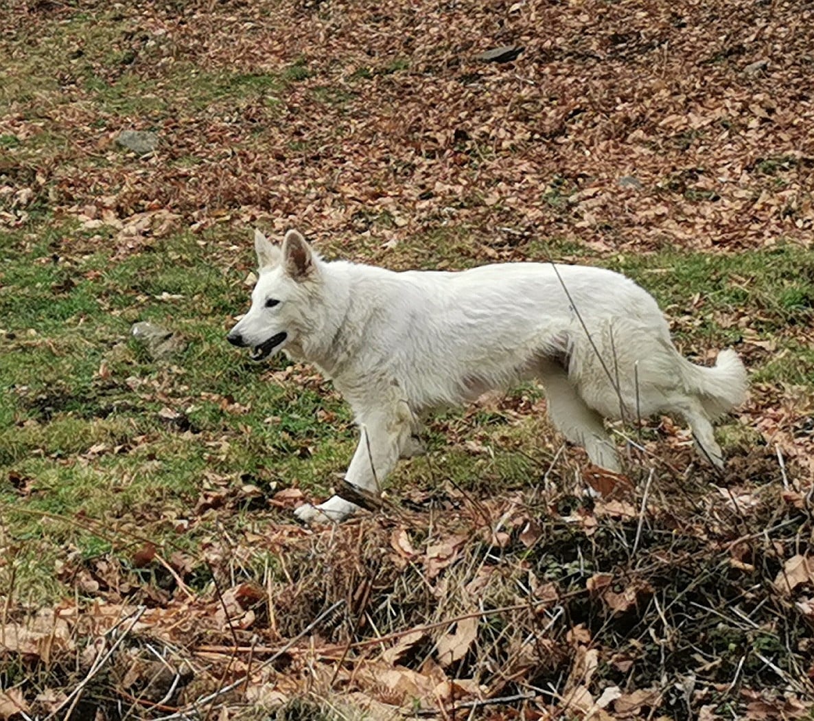 Publication : du Domaine De Cap Dé Lastouse