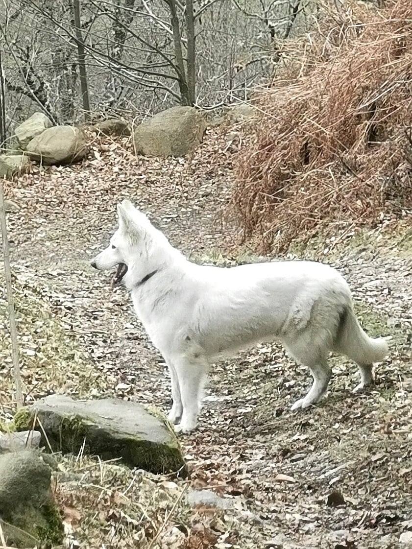 Publication : du Domaine De Cap Dé Lastouse