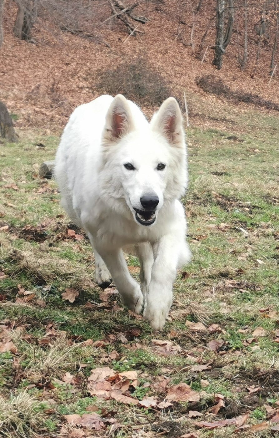 Publication : du Domaine De Cap Dé Lastouse