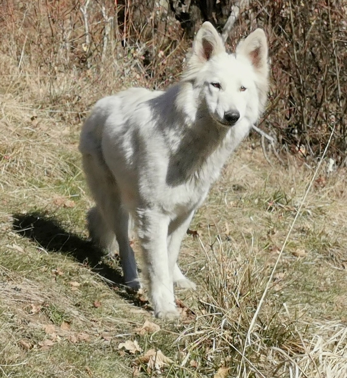 Publication : du Domaine De Cap Dé Lastouse