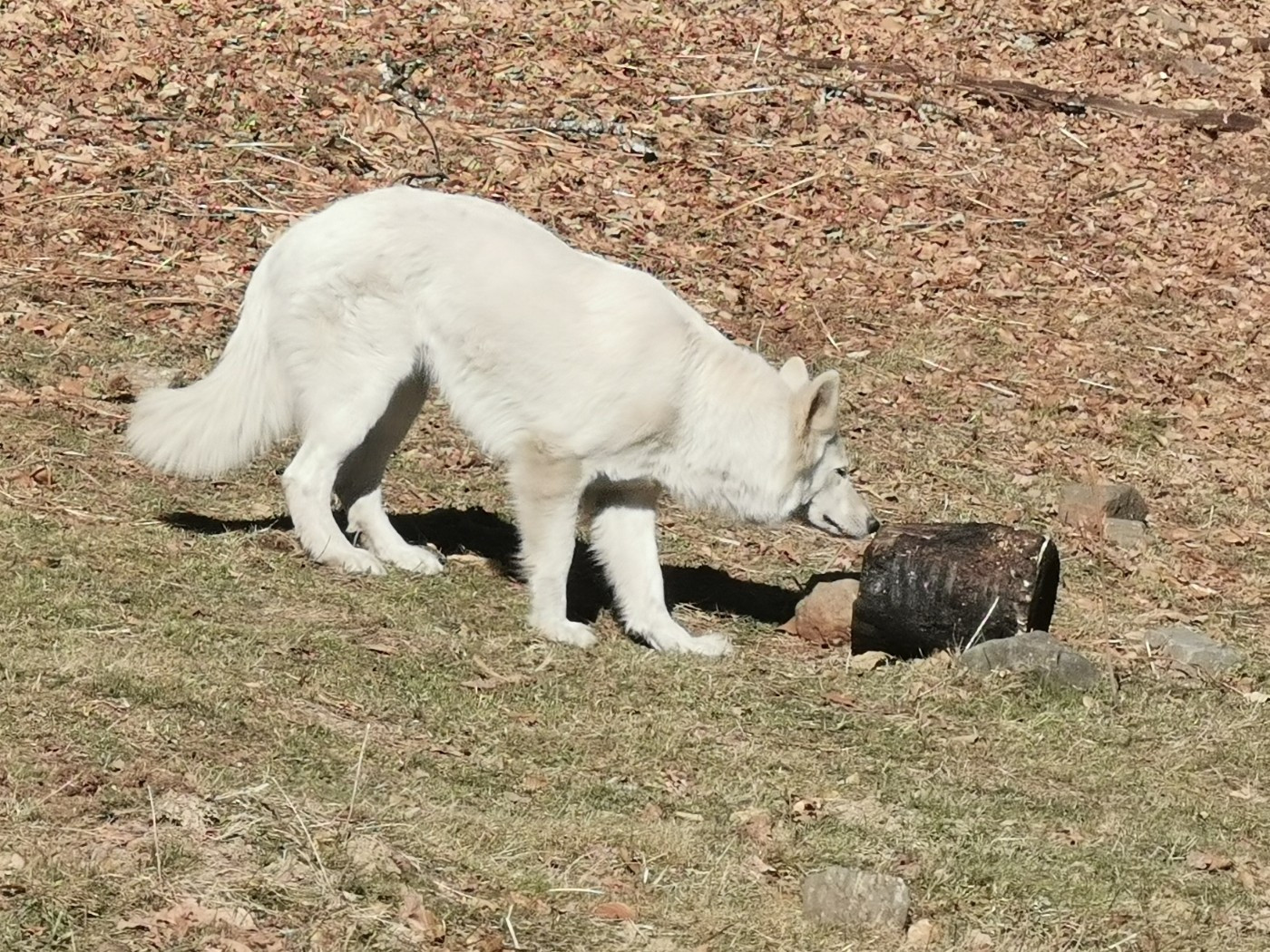 Publication : du Domaine De Cap Dé Lastouse