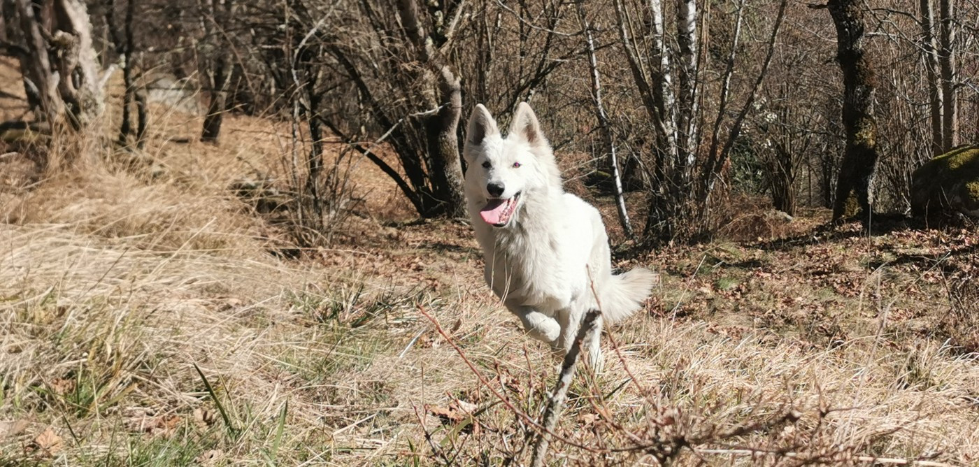 Publication : du Domaine De Cap Dé Lastouse