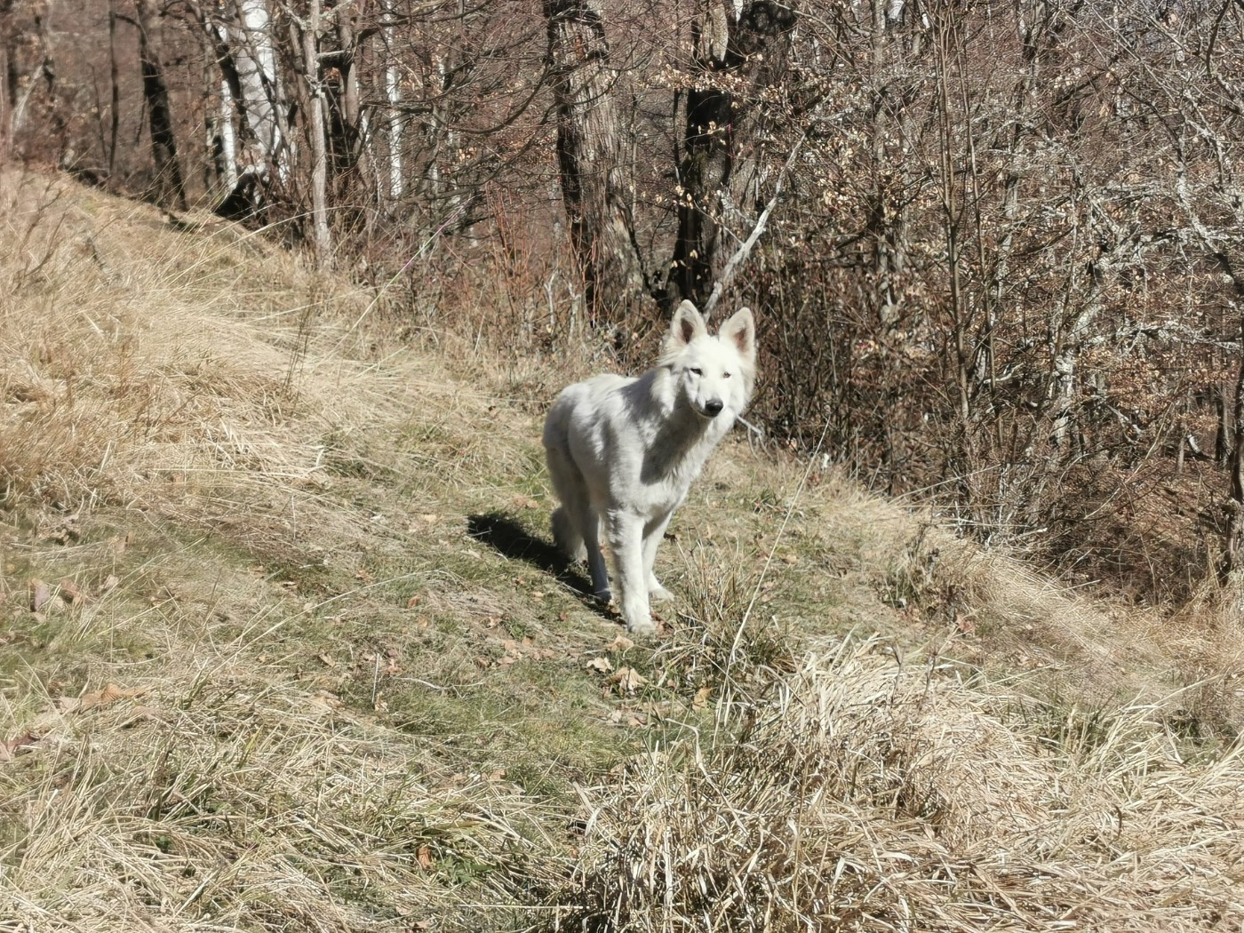 Publication : du Domaine De Cap Dé Lastouse
