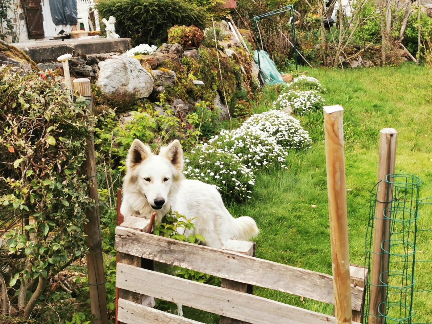 Publication : du Domaine De Cap Dé Lastouse