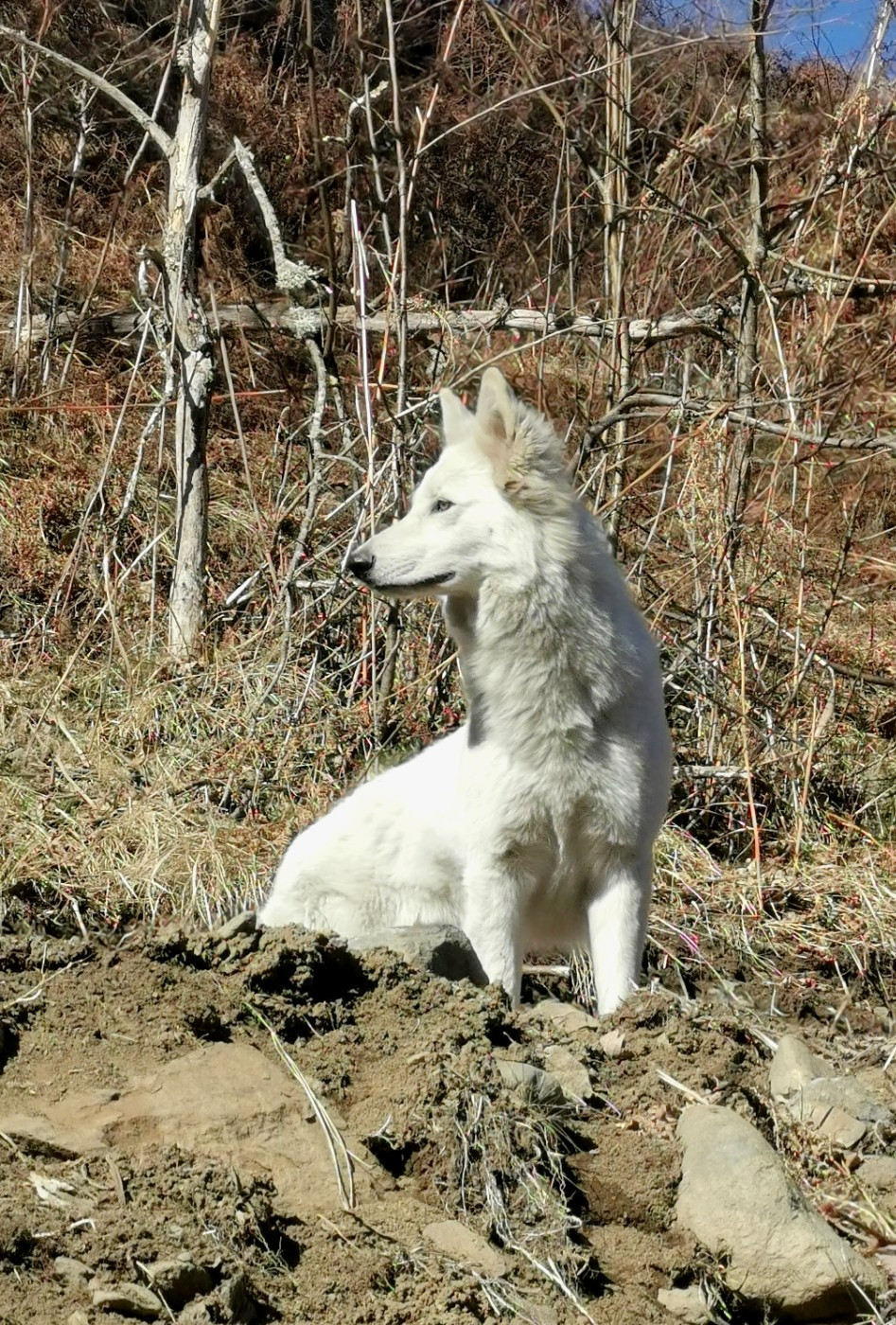 Publication : du Domaine De Cap Dé Lastouse