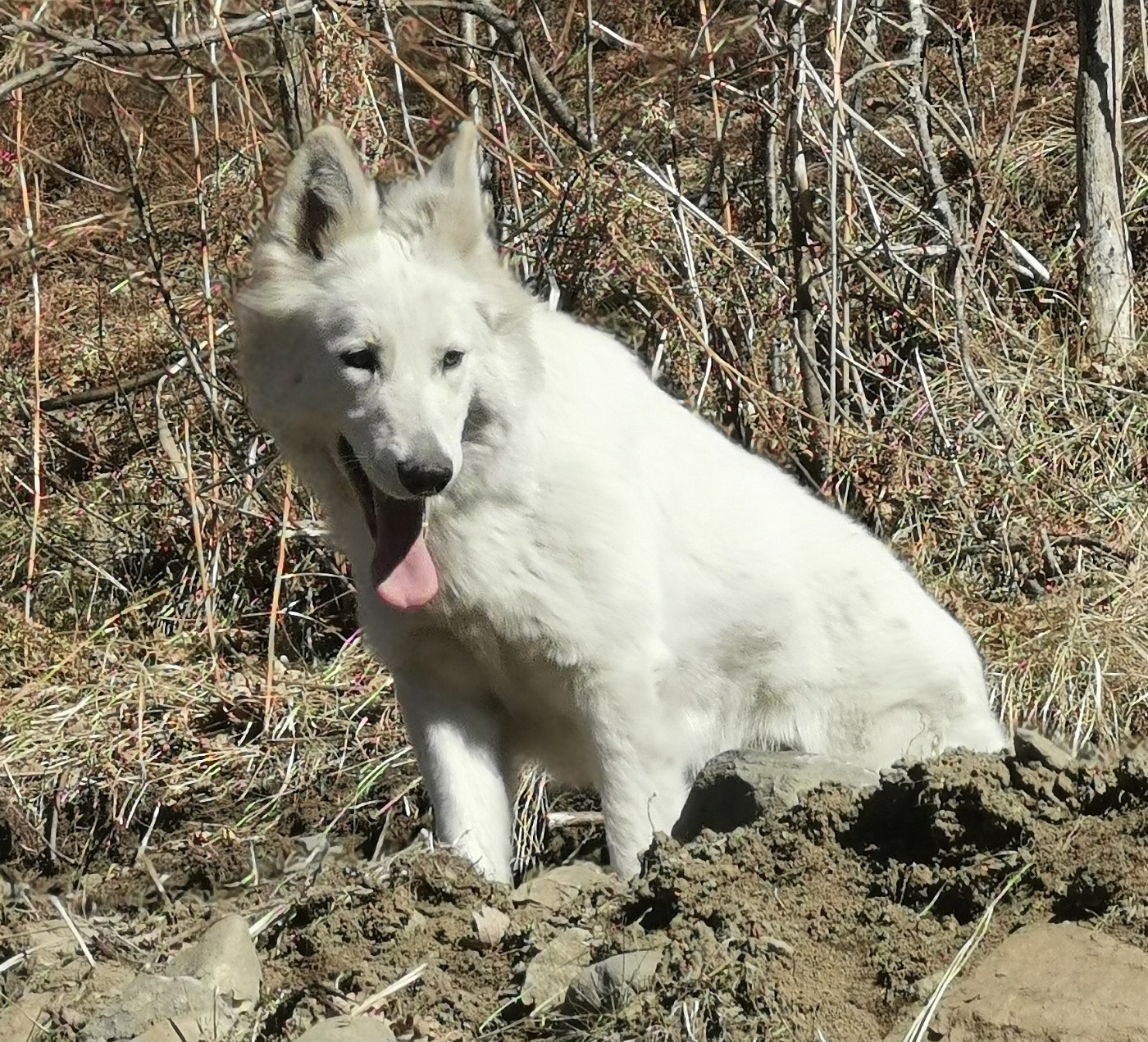 Publication : du Domaine De Cap Dé Lastouse