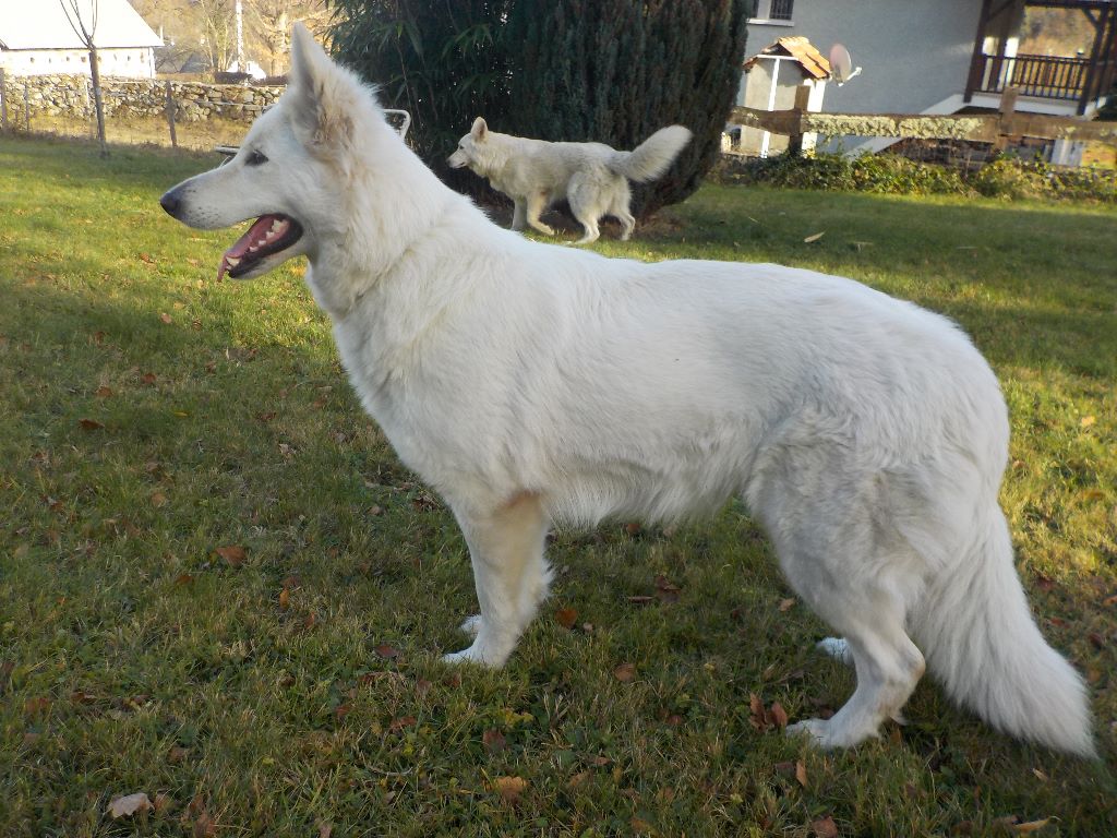 Publication : du Domaine De Cap Dé Lastouse Auteur : Domaine de cap dé Lastouse