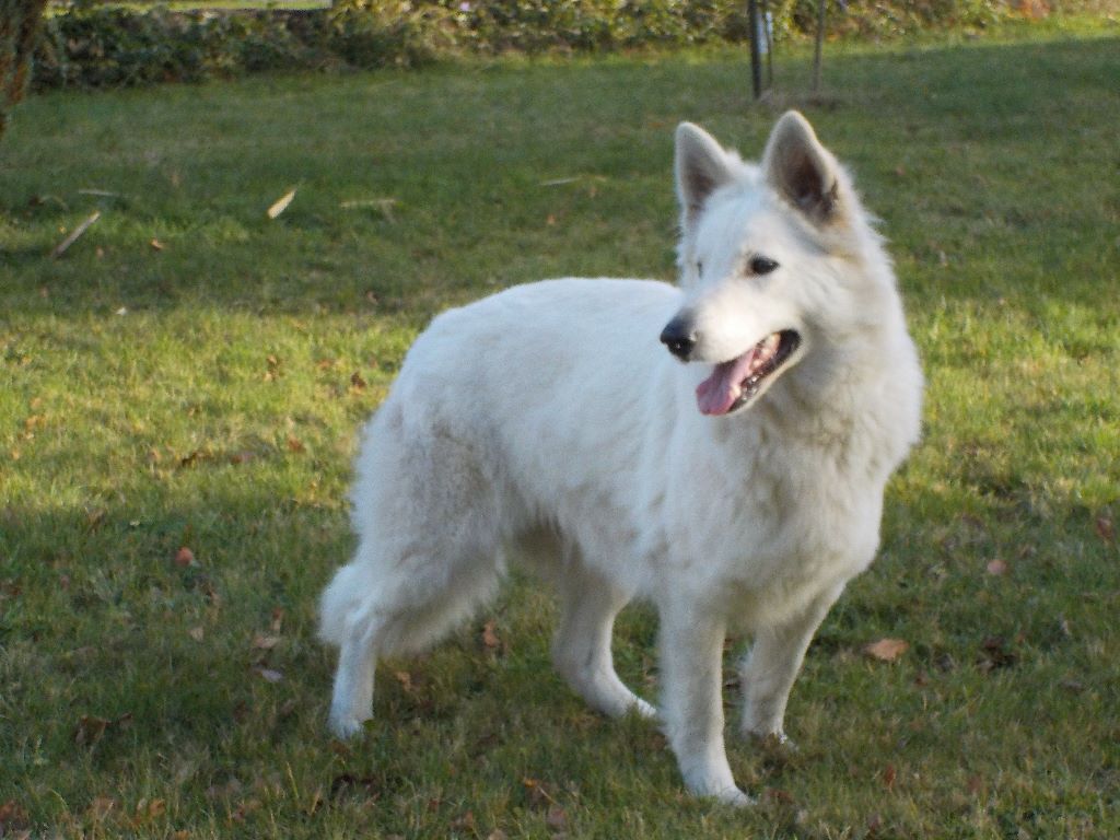 Publication : du Domaine De Cap Dé Lastouse Auteur : Domaine de cap dé Lastouse