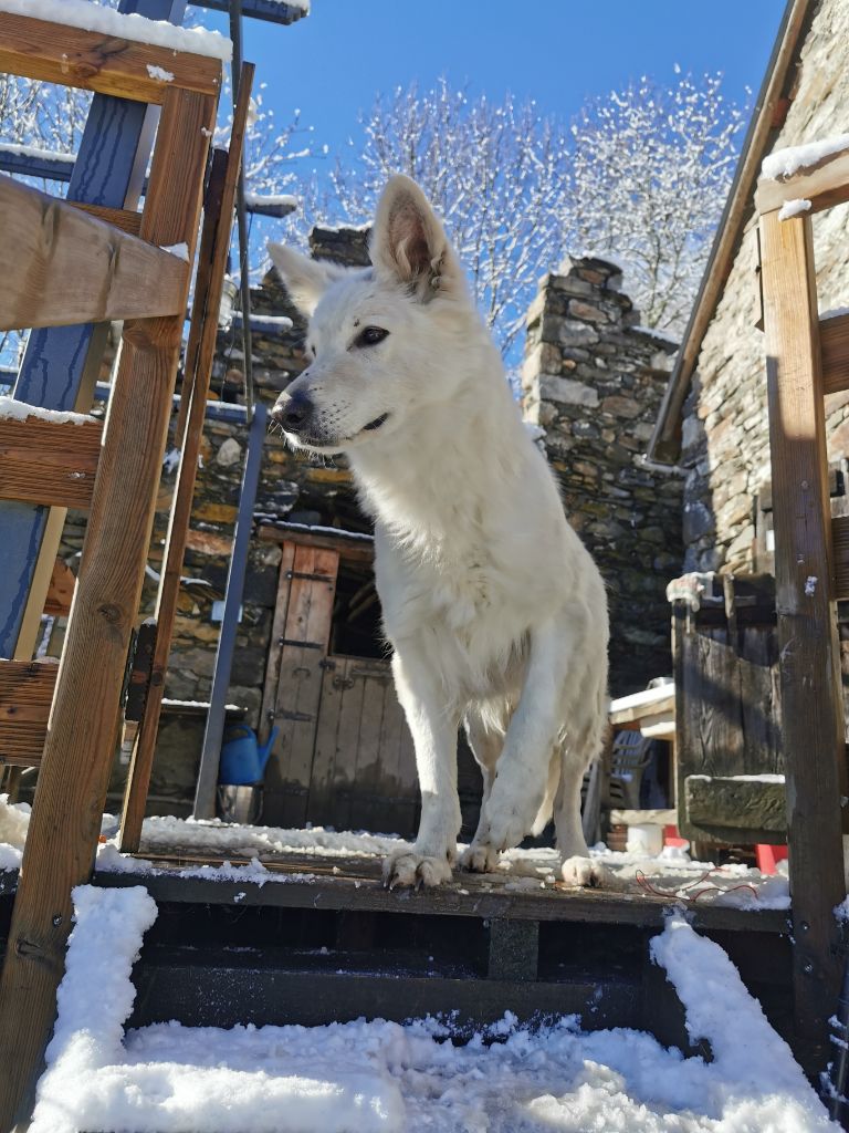 Publication : du Domaine De Cap Dé Lastouse Auteur : Domaine de cap dé Lastouse