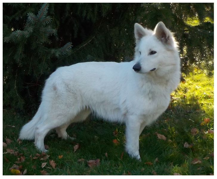 Publication : du Domaine De Cap Dé Lastouse Auteur : Domaine de cap dé Lastouse