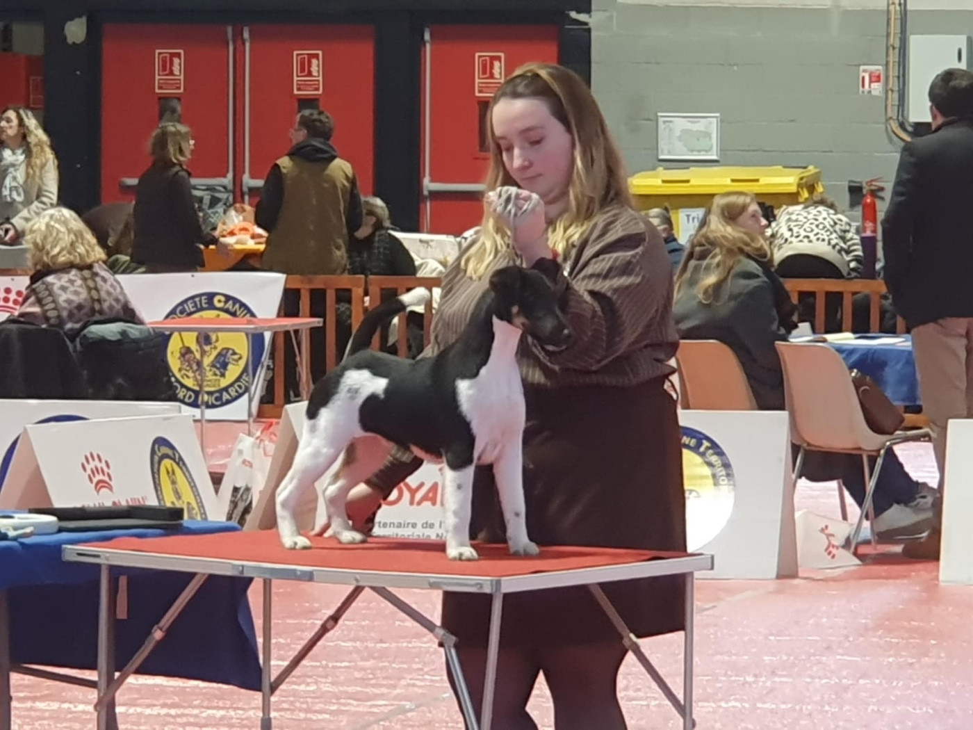 Ares By Fox rebell Fubelfox