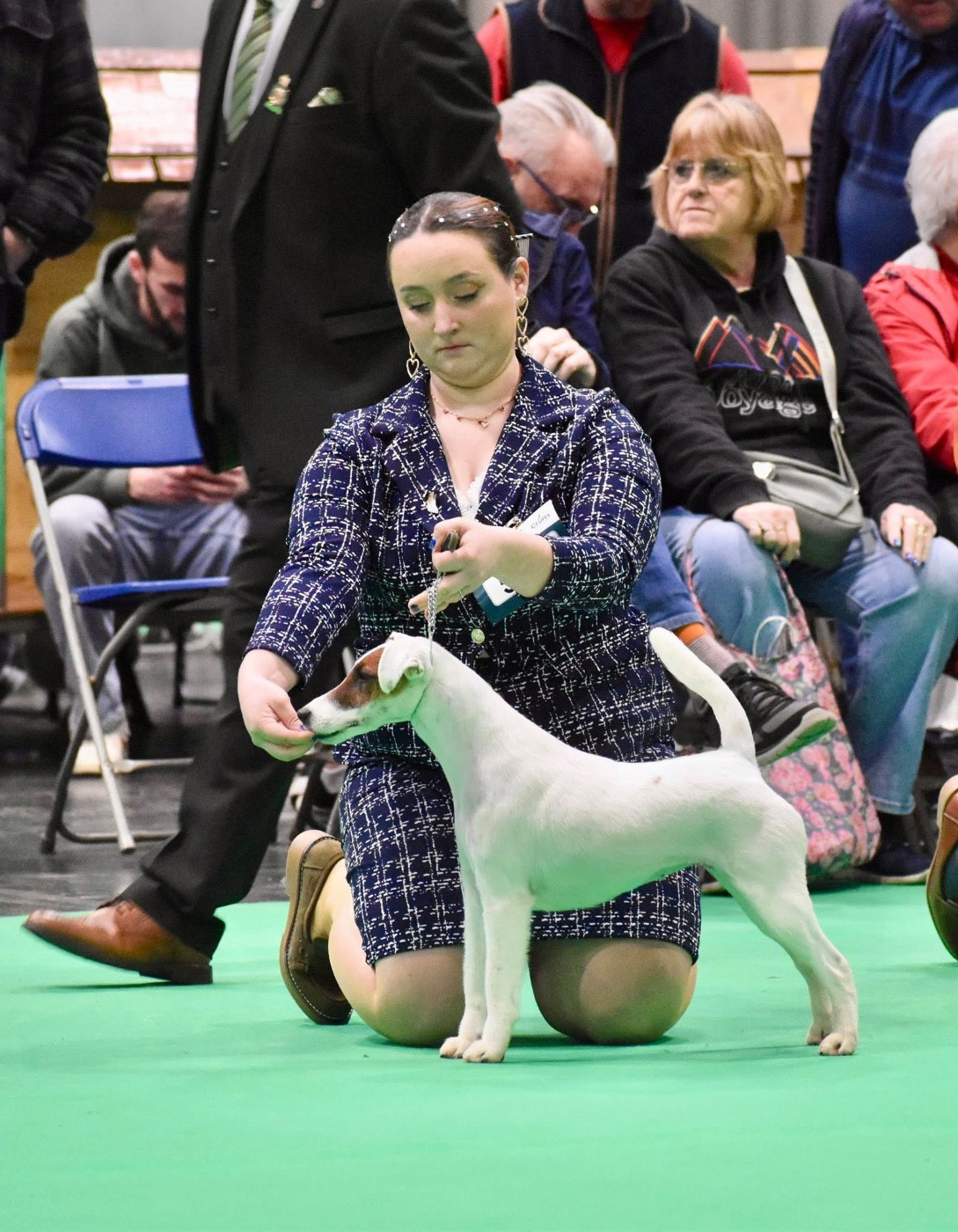 CH. Fox Rebell Totaly in love