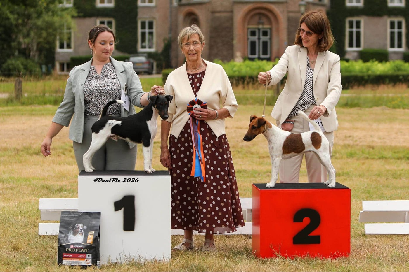 Ares By Fox rebell Fubelfox - 1ER EXC JCAC JBOB JUNIOR EUROPEAN WINNER