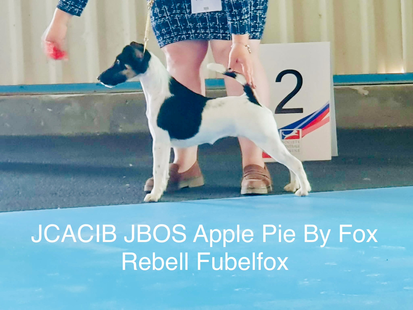 Apple pie by fox rebell Fubelfox - 1ER EXC JCACS JCACIB JBOS