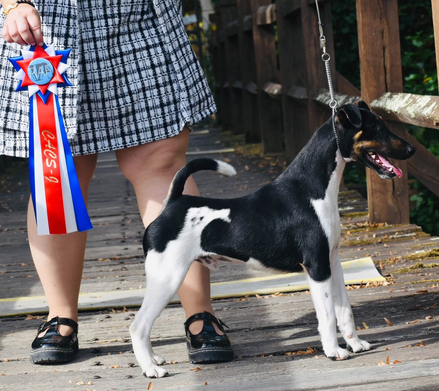 Ares By Fox rebell Fubelfox - 1ER EXC JCACS