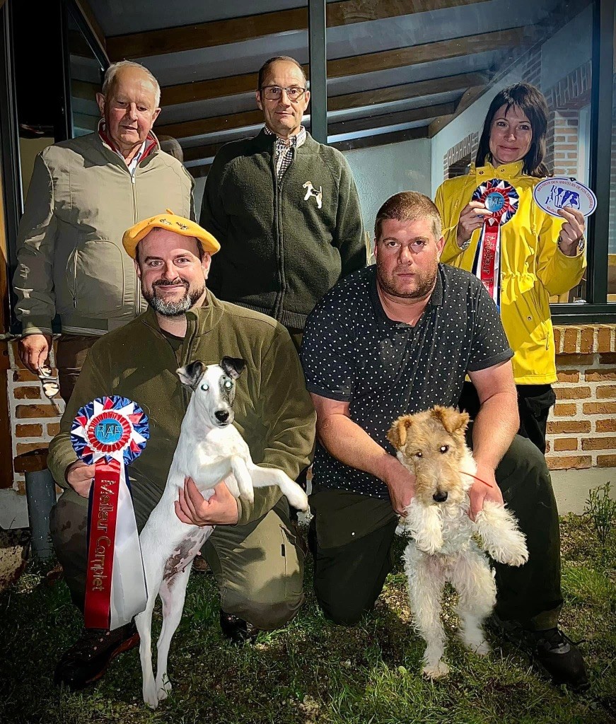 CH. Fox Rebell Rafale - 195/200PTS CACT/BR