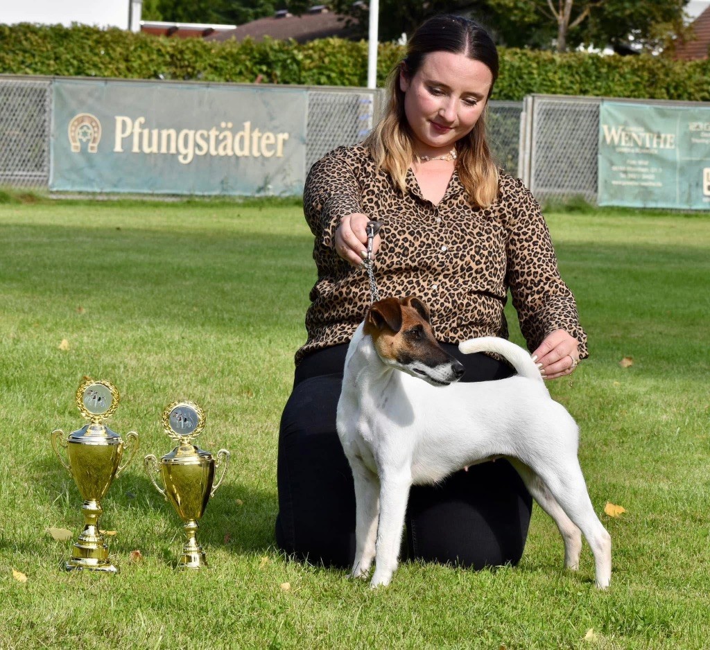 Fox Rebell Ultra secret - 1ER EXC JCAC JBOB