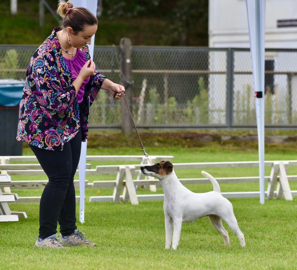 Fox Rebell Ultra secret - 1ER EXC JCAC MEILLEUR JEUNE