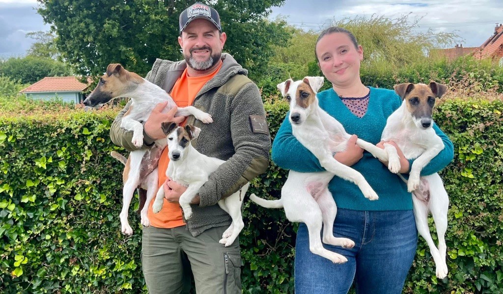 Fox Rebell Ultra secret - 93/100PTS BEST FOX