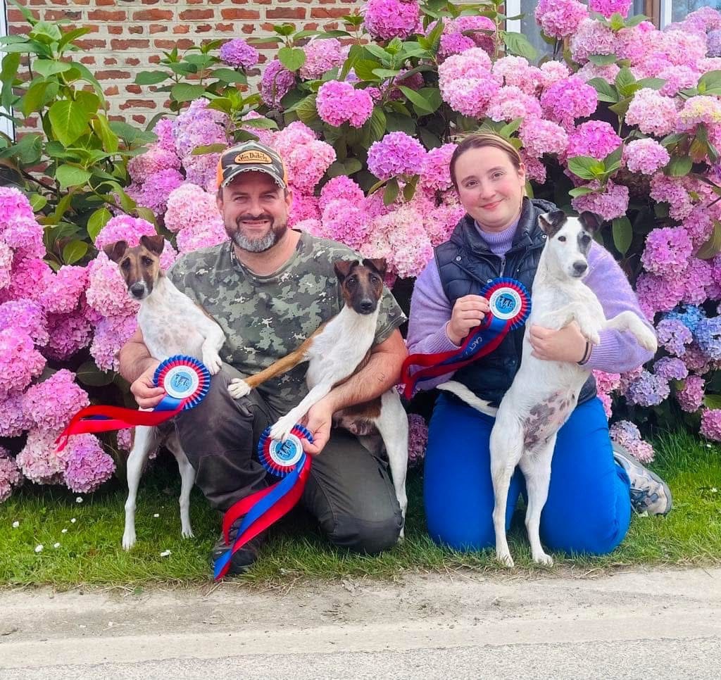 CH. Fox Rebell Rafale - 200PTS CACTA