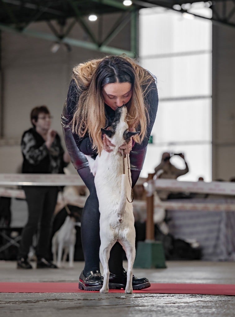 CH. Fox Rebell Rafale - 2EME EXC