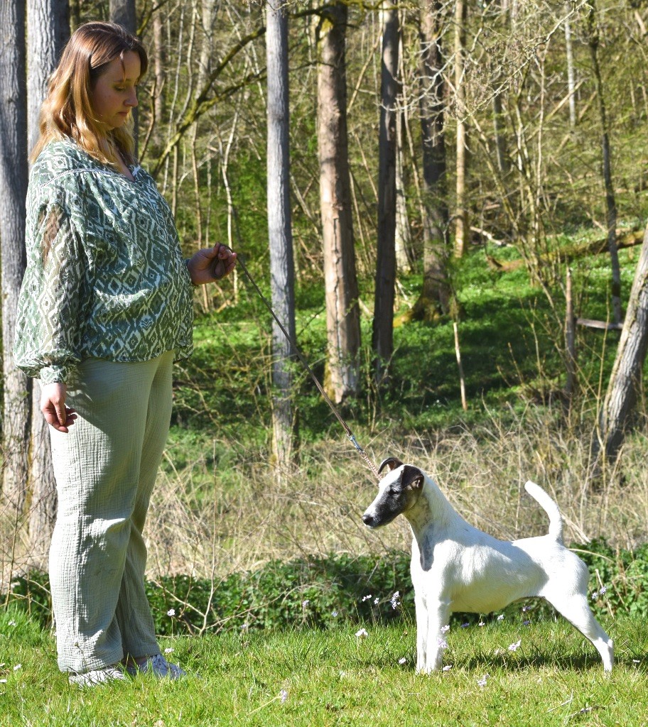 CH. Fox Rebell Rafale - 90,37PTS 2EME EXC+