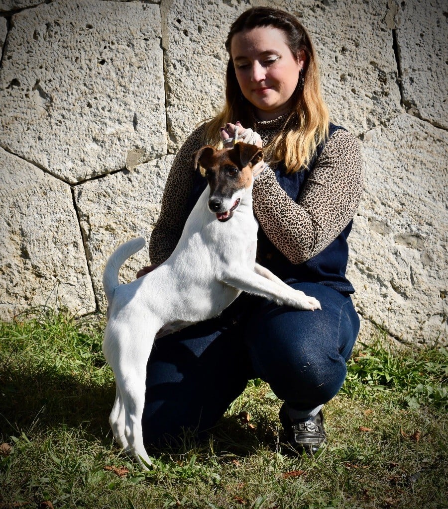 Fox Rebell Ultra secret - 1ER EXC CAC