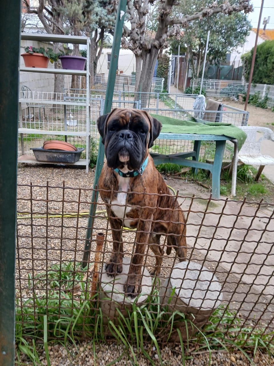 AX Des gorges d'heric