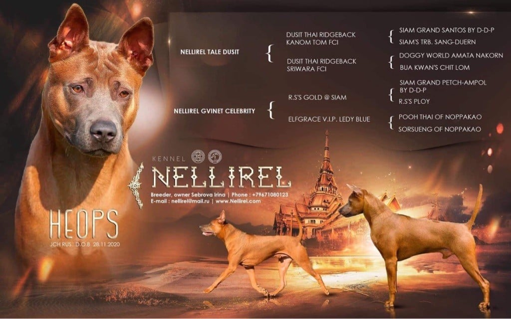 CH. Deya wenn bellethein et tar menel